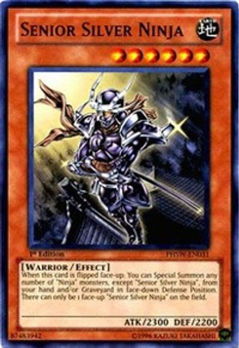 Senior Silver Ninja