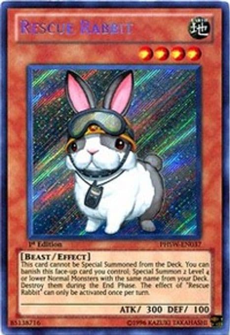Rescue Rabbit
