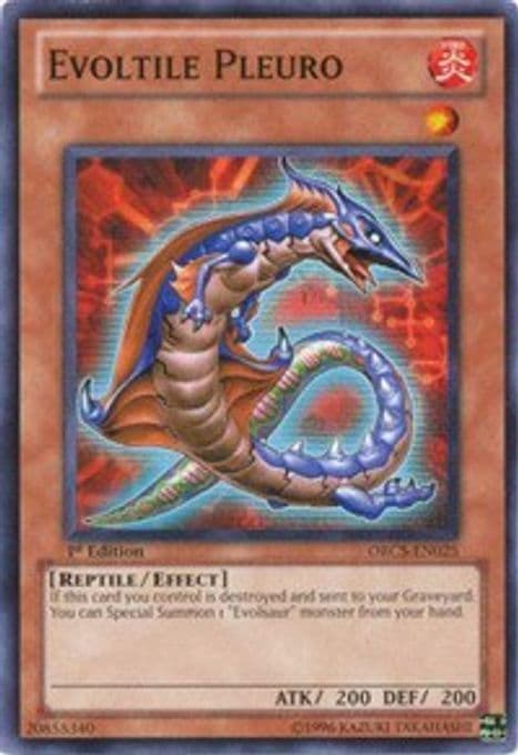 Evoltile Pleuro
