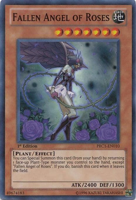 Fallen Angel of Roses