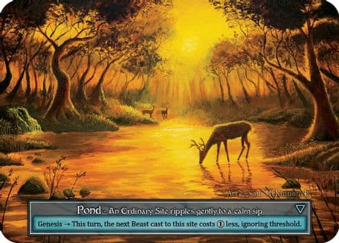 Pond (Foil)