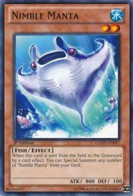 Nimble Manta
