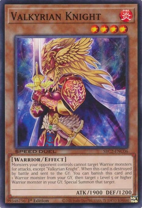 Valkyrian Knight