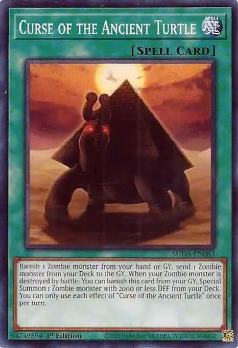 Curse of the Ancient Turtle