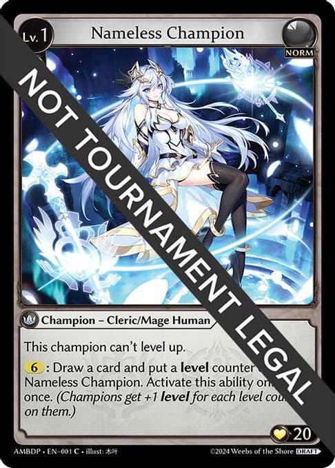 Nameless Champion (Cleric/Mage)