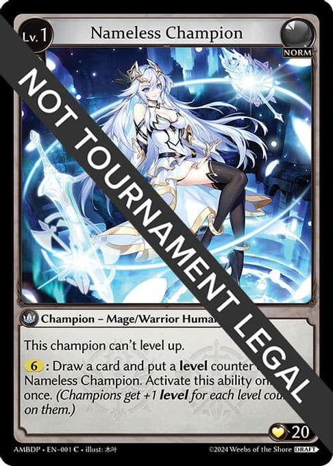 Nameless Champion (Mage/Warrior)