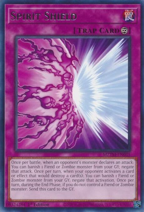 Spirit Shield