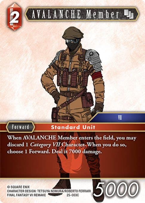 AVALANCHE Member