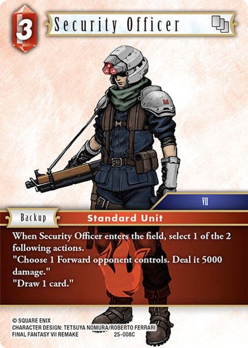 Security Officer