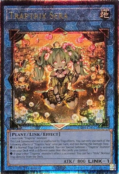 Traptrix Sera (PUR)