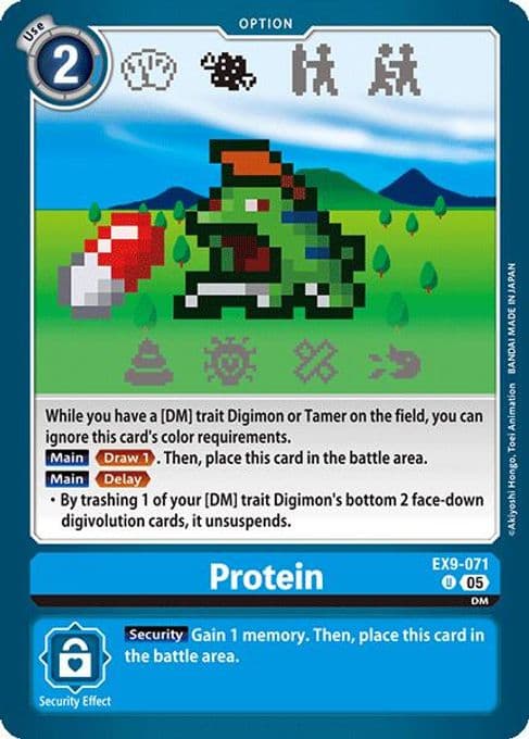 Protein