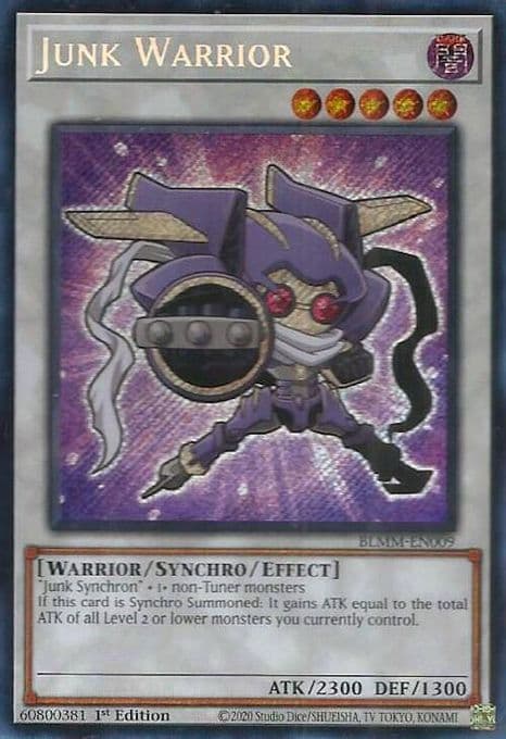 Junk Warrior