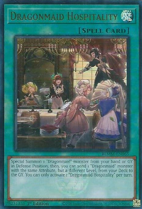 Dragonmaid Hospitality