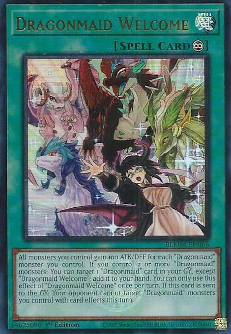 Dragonmaid Welcome