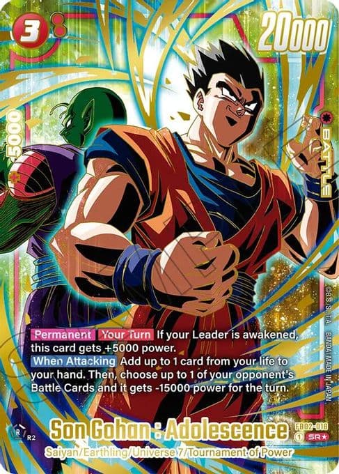 Son Gohan : Adolescence (1st Anniversary Set)
