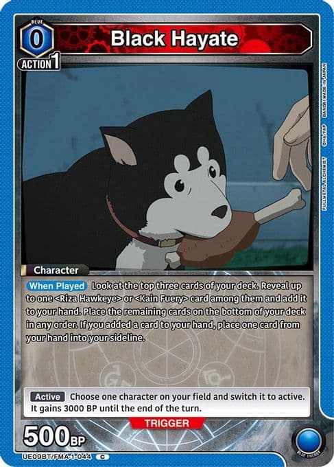 Black Hayate