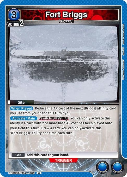 Fort Briggs