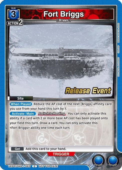 Fort Briggs