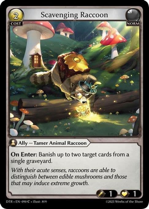Scavenging Raccoon