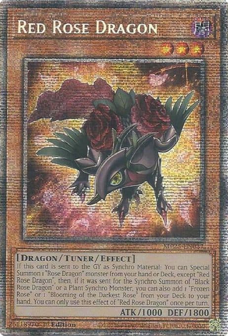 Red Rose Dragon