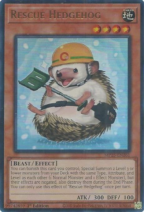 Rescue Hedgehog