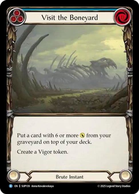 Visit the Boneyard