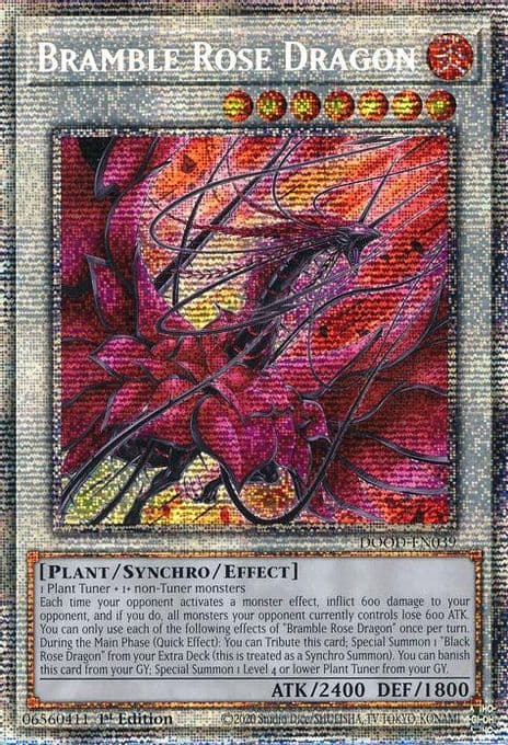 Bramble Rose Dragon (Starlight Rare)