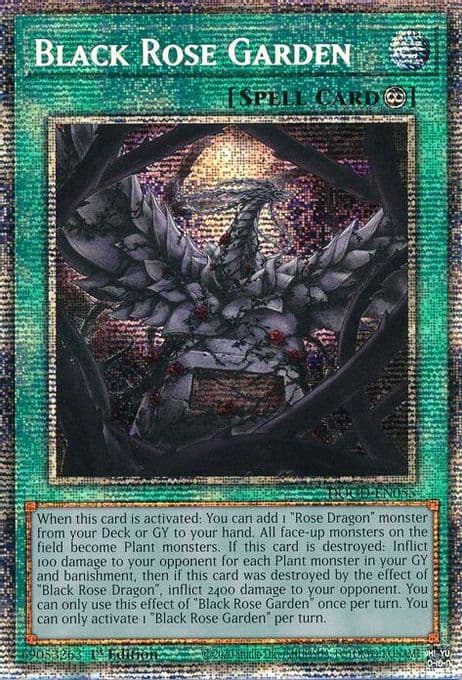 Black Rose Garden (Starlight Rare)