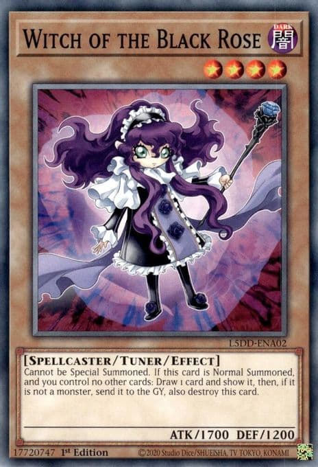 Witch of the Black Rose