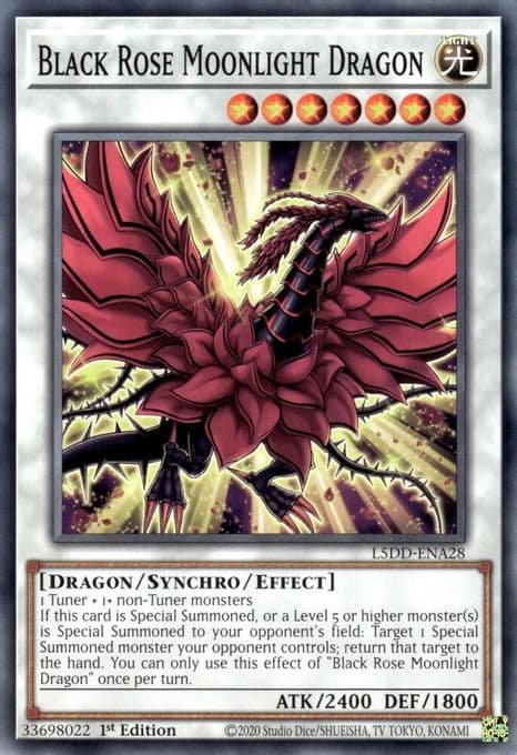 Black Rose Moonlight Dragon