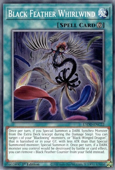 Black Feather Whirlwind