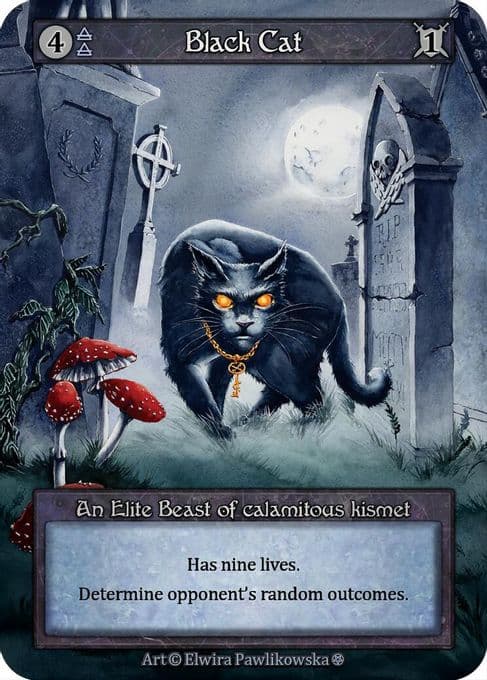 Black Cat