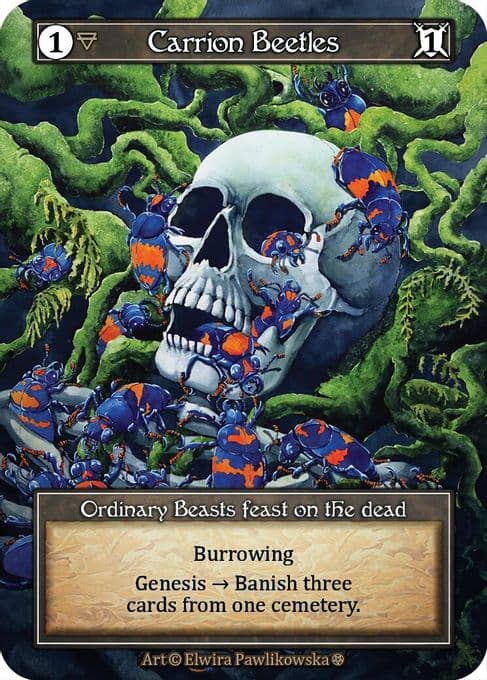 Carrion Beetles (Foil)