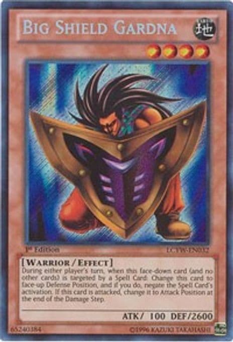 Big Shield Gardna