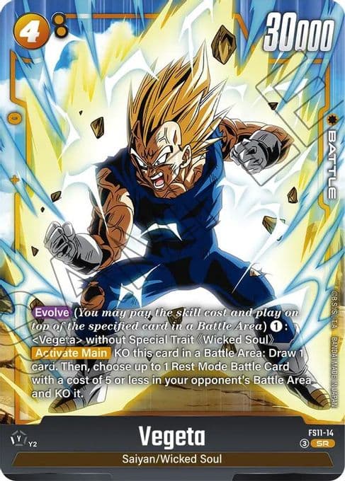 Vegeta - FS11-14