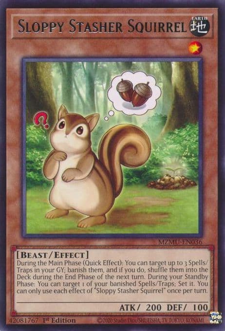 Sloppy Stasher Squirrel