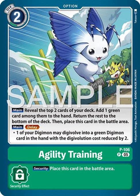 Agility Training (Reprint)