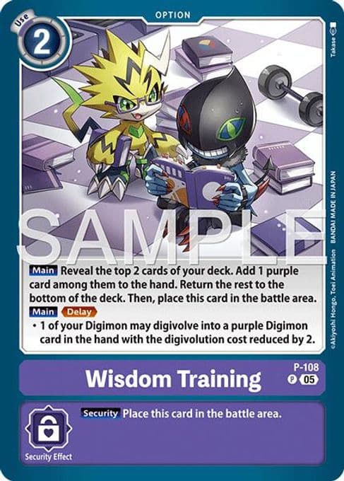 Wisdom Training (Reprint)
