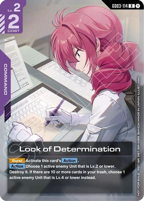 Look of Determination (Newtype Challenge 2026 Mission 2)