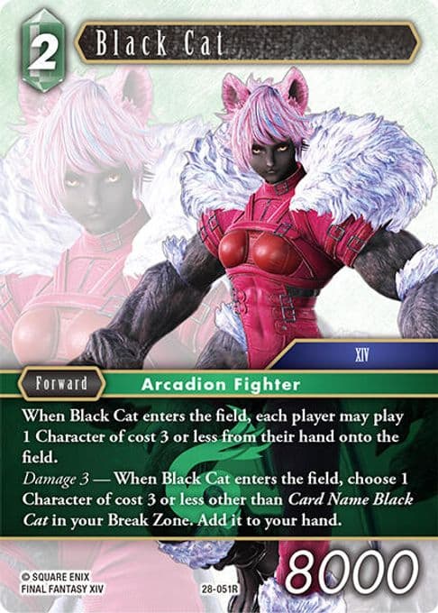 Black Cat