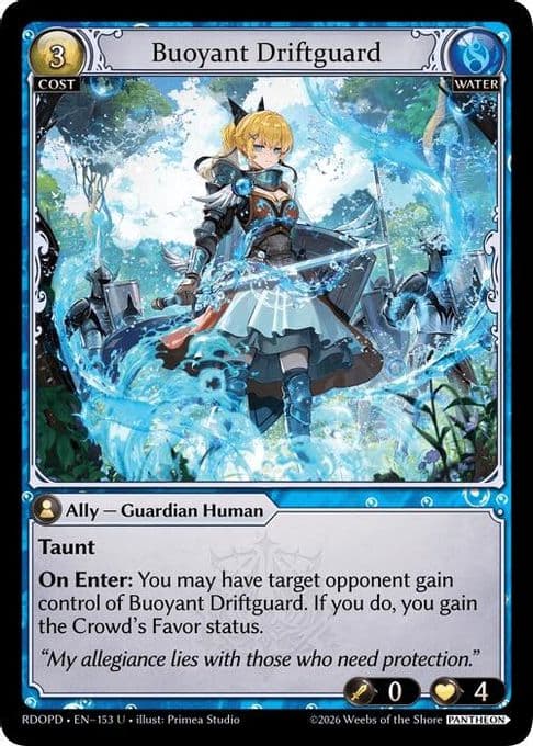 Buoyant Driftguard