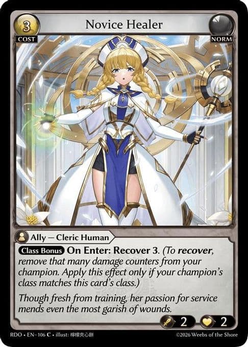 Novice Healer