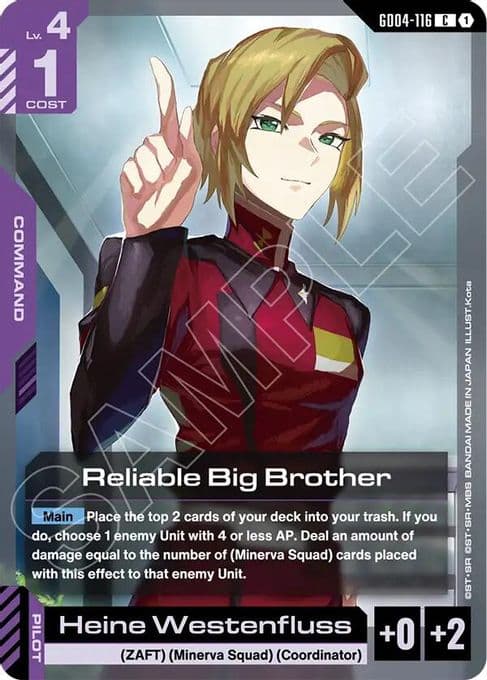 Reliable Big Brother