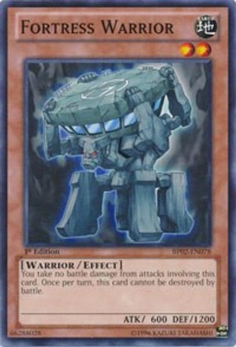 Fortress Warrior