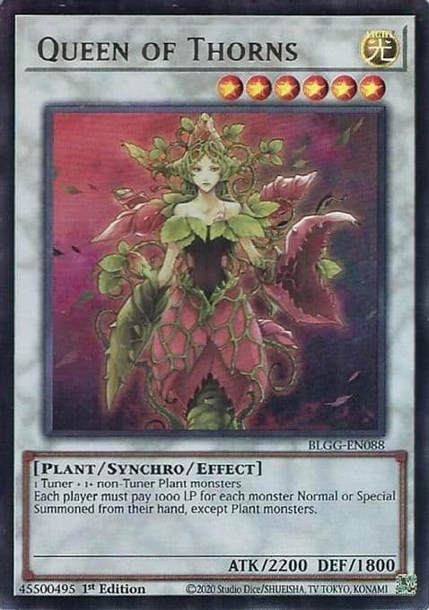 Queen of Thorns