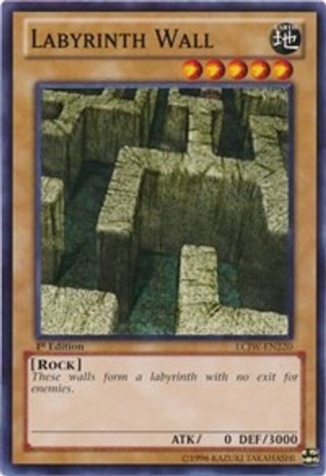 Labyrinth Wall
