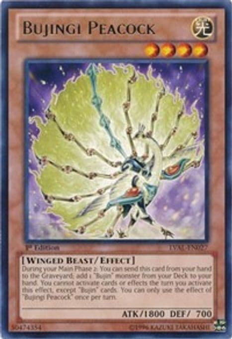 Bujingi Peacock