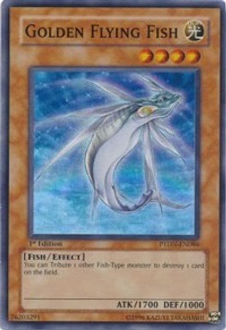 Golden Flying Fish