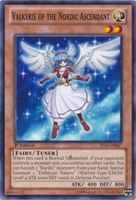 Valkyrie of the Nordic Ascendant