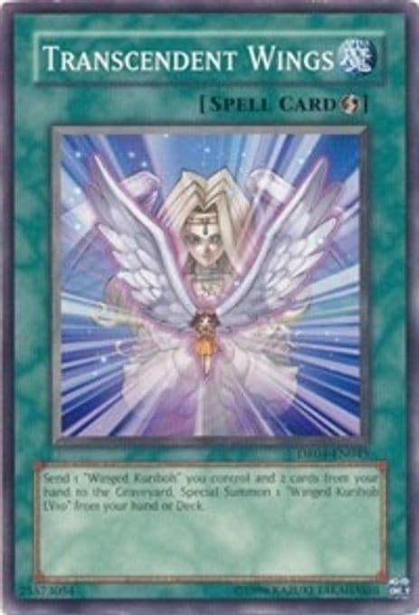 Transcendent Wings